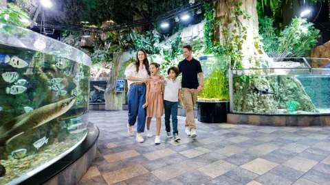 At The Top, Burj Khalifa Non-prime + Dubai Aquarium and Under water zoo