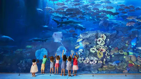 At The Top, Burj Khalifa Non-prime + Dubai Aquarium and Under water zoo photo 3