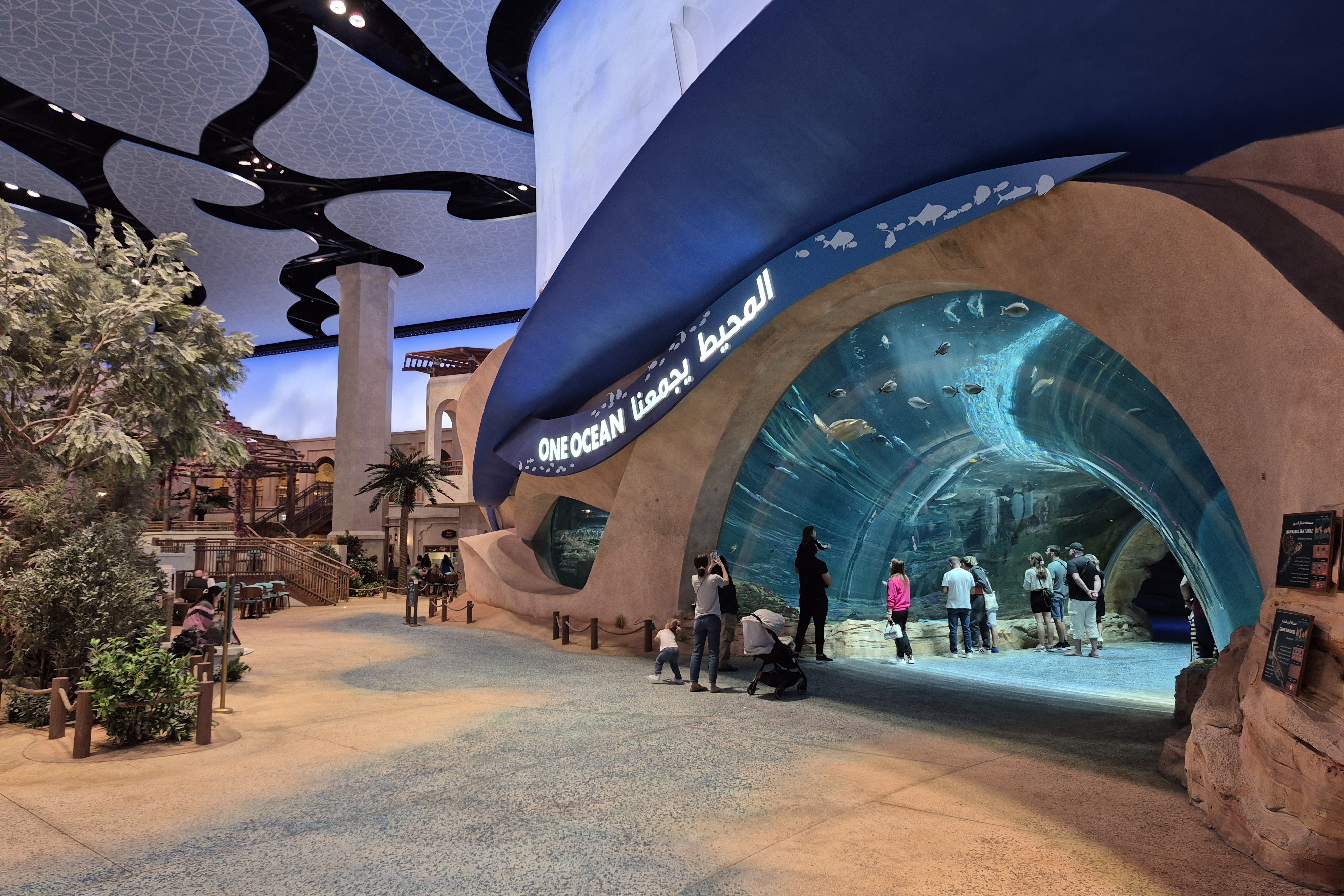 SeaWorld Abu Dhabi Tickets – Yas Island photo 3