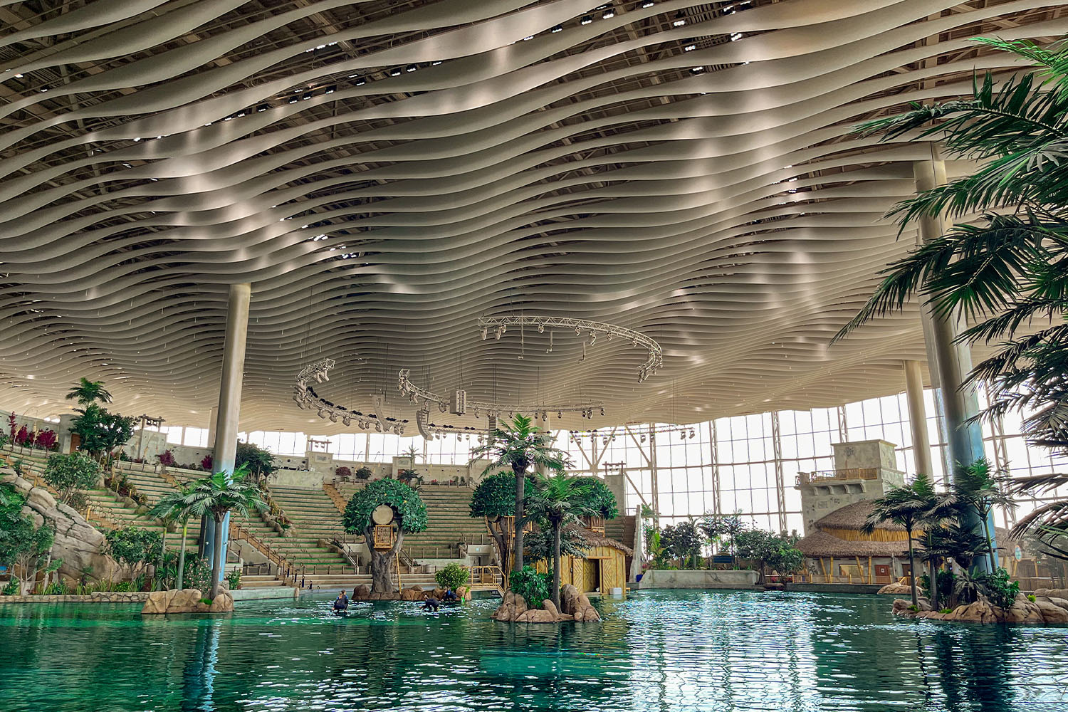 SeaWorld Abu Dhabi Tickets – Yas Island photo 4