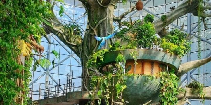 The Green Planet Dubai: Indoor Rainforest & Bio-Dome Tickets photo 4