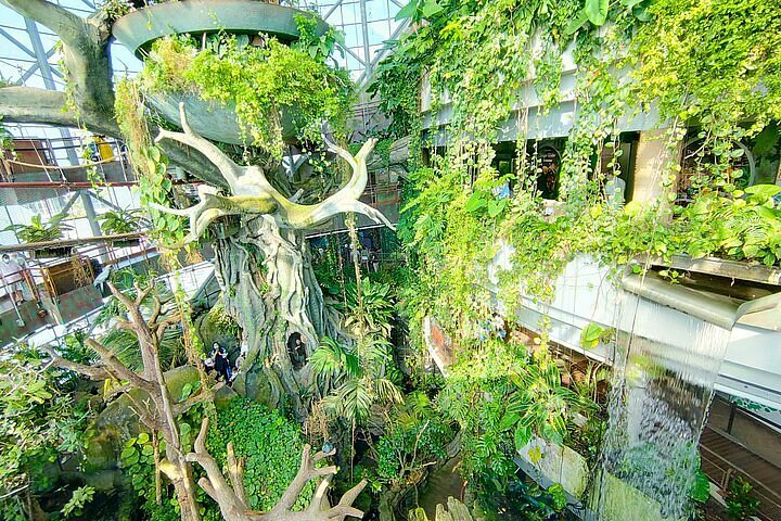 The Green Planet Dubai: Indoor Rainforest & Bio-Dome Tickets photo 5