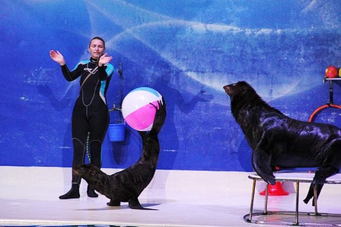 Dubai Dolphinarium: Dolphin & Seal Show Tickets photo 5