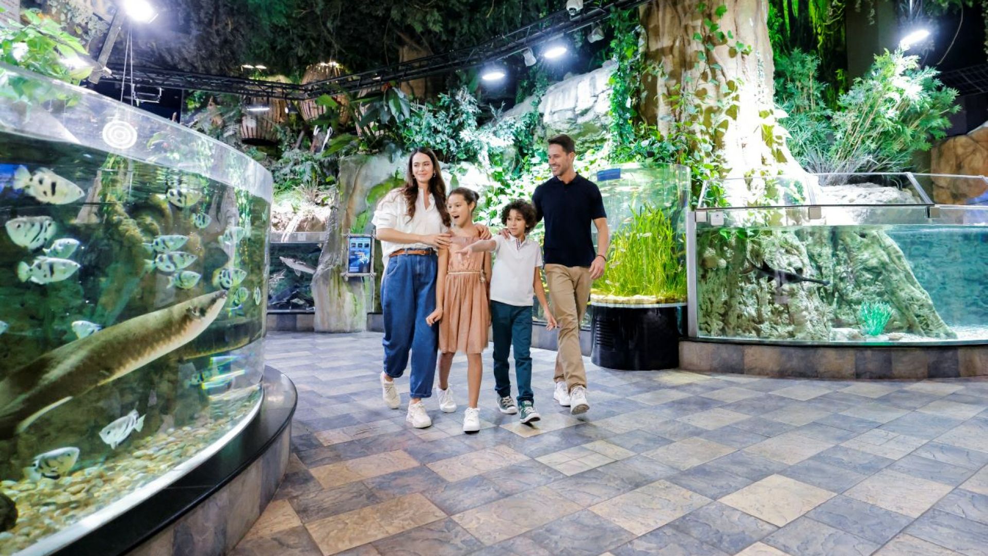 At The Top, Burj Khalifa Non-prime + Dubai Aquarium and Under water zoo photo 2