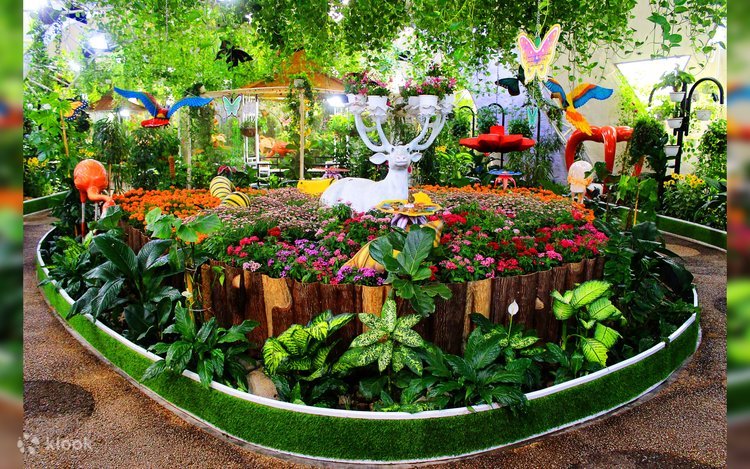 Dubai Butterfly Garden Experience with Hotel Transfers photo 3