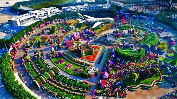 Dubai Miracle Garden Tour with Hotel Transfers photo 2