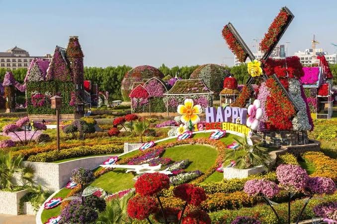 Dubai Miracle Garden Tour with Hotel Transfers photo 3