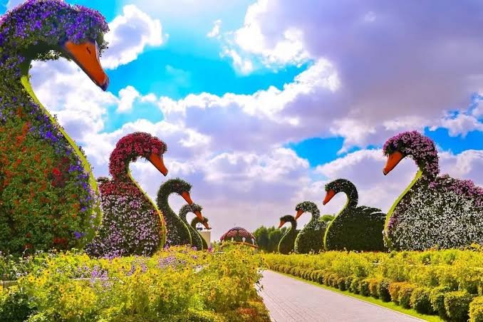 Dubai Miracle Garden Tour with Hotel Transfers photo 4