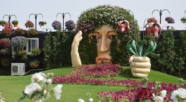 Dubai Miracle Garden Tour with Hotel Transfers photo 7