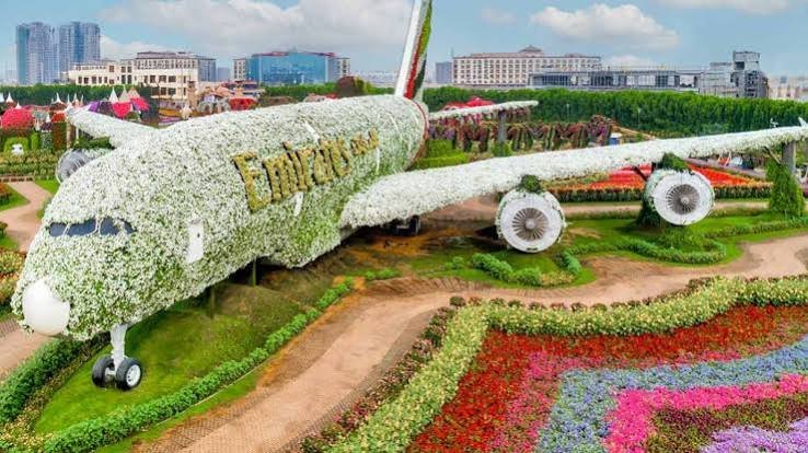 Dubai Miracle Garden Tour with Hotel Transfers photo 1