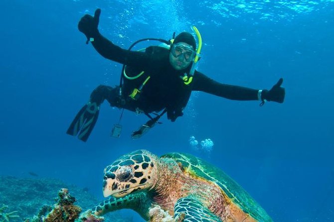 Try Scuba Diving in Dubai – Beginner Beach Dive with Hotel Transfers photo 3