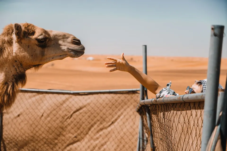 Dubai desert safari with kids: family-friendly tips and advice